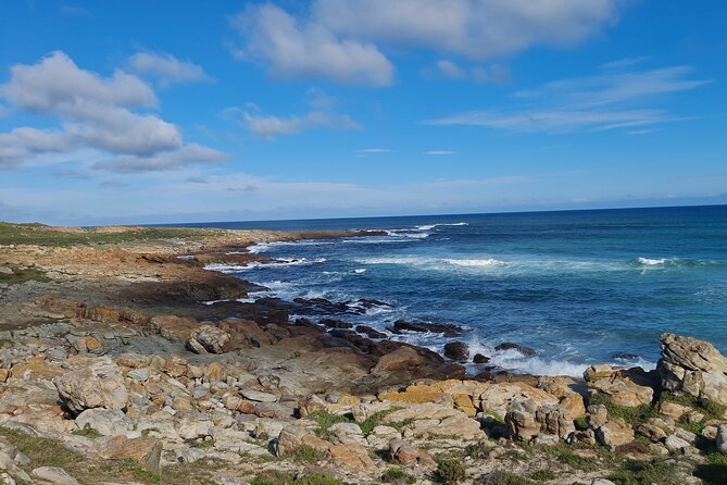 Table Mountain, Boulder's Penguins, Cape of Good Hope&Cape Point - Cape of Good Hope and Cape Point stories
