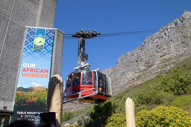 Table Mountain, Boulder's Penguins & Cape Point Private Tour from Cape Town - Why this private Cape Town tour works so well