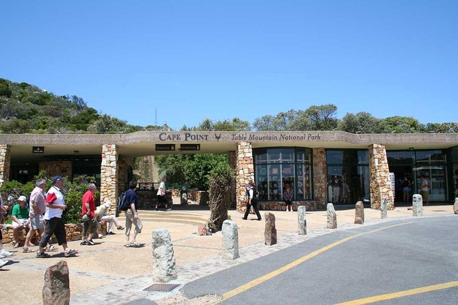 Table Mountain, Cape of Good Hope & Penguins - Meeting the African penguins at Boulders Beach