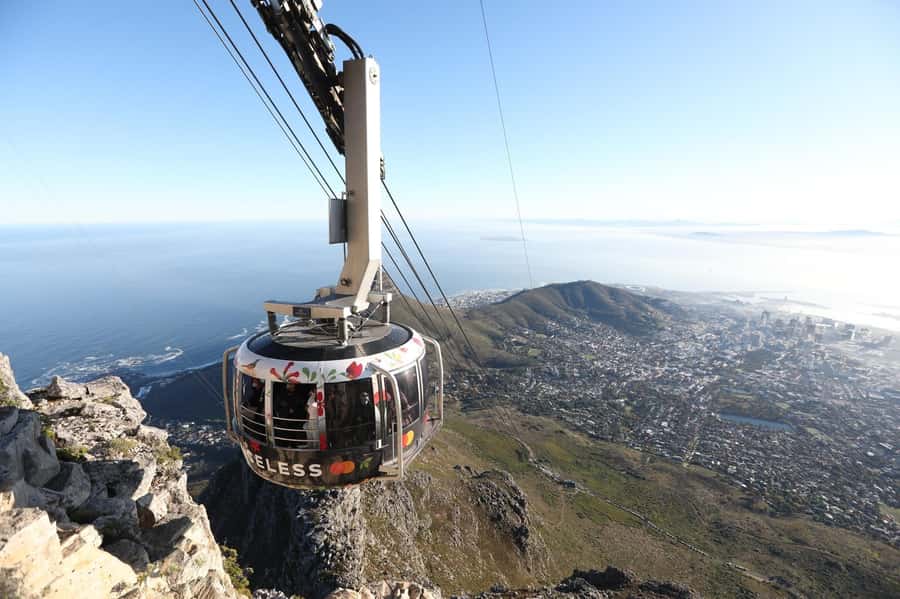 Table Mountain, Cape Of Good Hope, Penguins, Full Day Tour - Key Points At A Glance