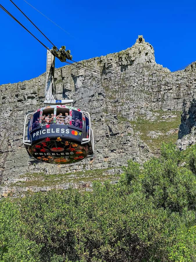 Table Mountain, Cape Of Good Hope, Penguins, Full Day Tour - Why This Full-Day Route Works