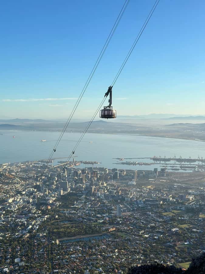 Table Mountain, Cape Of Good Hope, Penguins, Full Day Tour - Hout Bay And The Optional Seal Island Boat