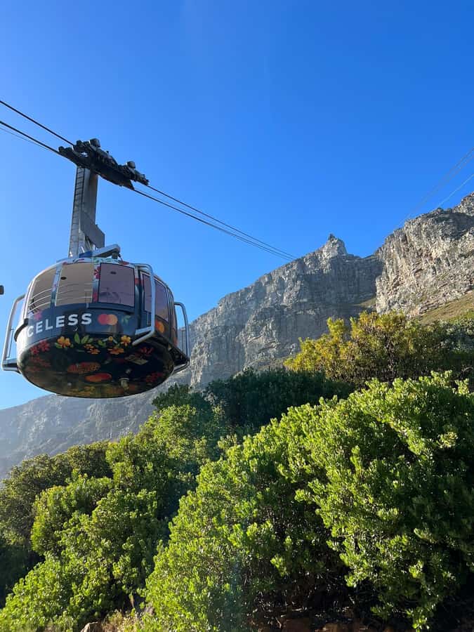 Table Mountain, Cape Of Good Hope, Penguins, Full Day Tour - Boulders Beach And The African Penguins