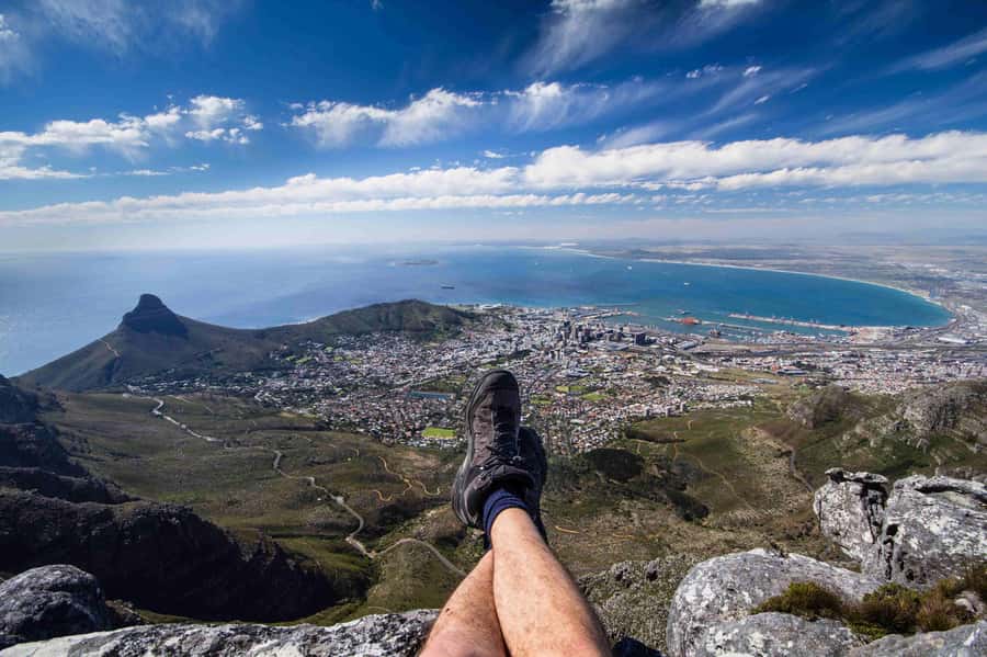 Table Mountain, Cape of Good Hope & Penguins Private Tour - Boulders Beach brings you close to African penguins