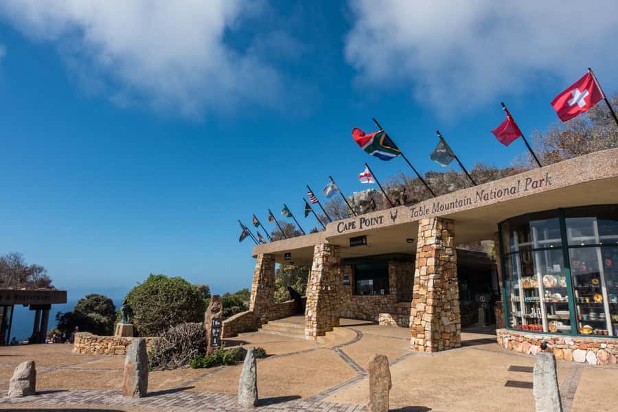 Table Mountain, Cape of Good Hope & Penguins Shared Tour - Chapmans Peak Drive along the Atlantic coast