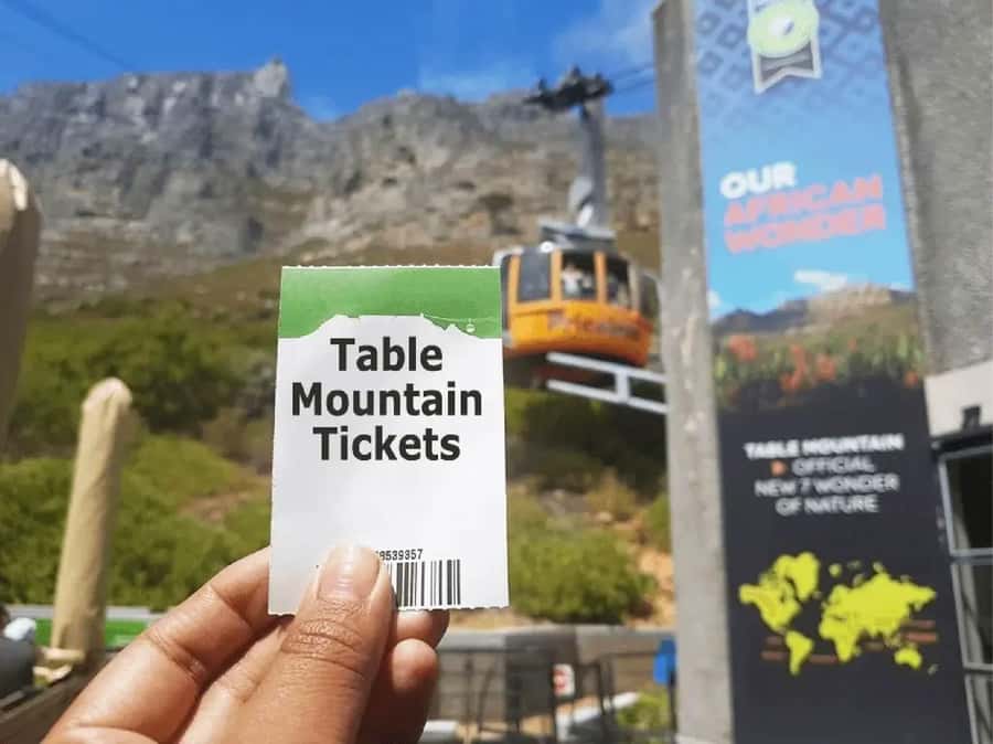 Table Mountain, Cape of Good Hope & Penguins Shared Tour - Is $40 good value?
