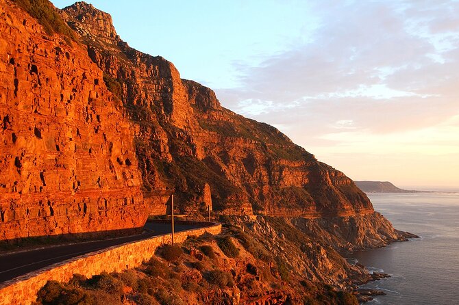 Table Mountain, Cape Point & Penguin Beach ENTRANCE INCLUDED - A Fish Hoek lunch break