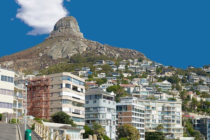Table Mountain, Cape Point & Penguin Beach ENTRANCE INCLUDED - Transport, timing, and comfort