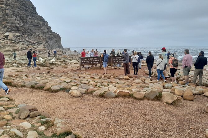 Table Mountain Cape Point Penguin Groot Constantia Private Tour - Key points to know before booking