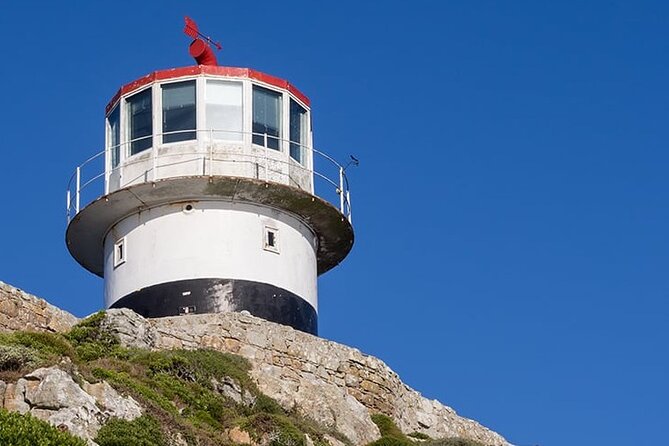 Table Mountain Cape Point Penguin Groot Constantia Private Tour - Boulders Beach: African penguins up close