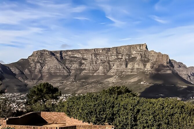 Table Mountain, Chapmans Peak Drive, Cape Point & Penguins - Camps Bay, Hout Bay, and Chapman’s Peak