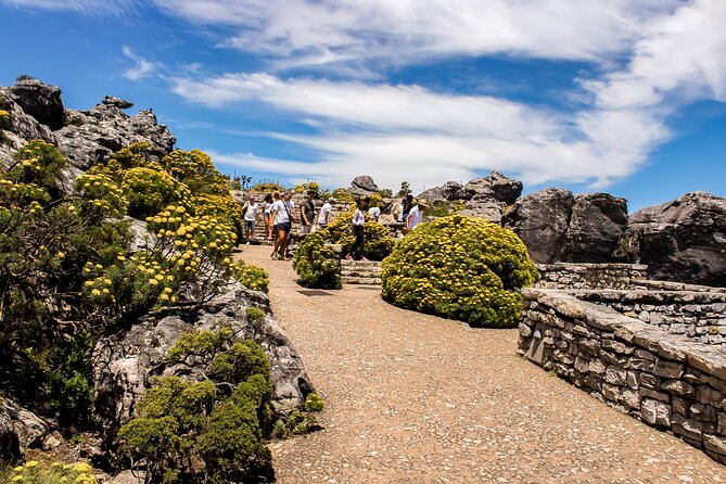 Table Mountain, Chapmans Peak Drive, Cape Point & Penguins - Cape Point Nature Reserve and the Cape of Good Hope