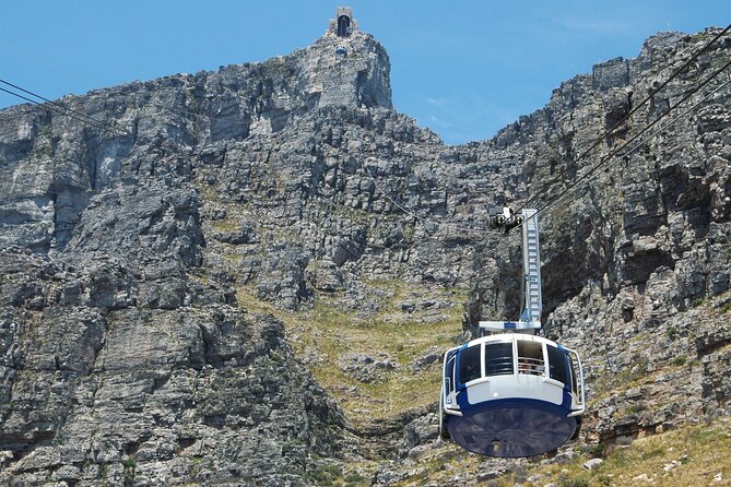 Table Mountain, Penguin,Cape Point Private Day Tour in Cape Town - Five things worth knowing before you book