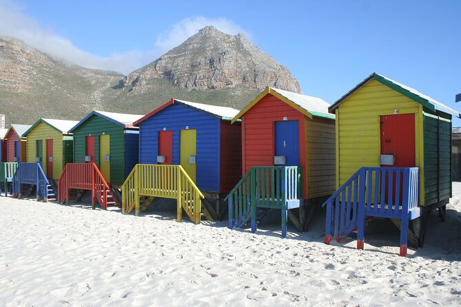 Table Mountain, Penguin,Cape Point Private Day Tour in Cape Town - Hout Bay and Chapman’s Peak turn the drive into an attraction