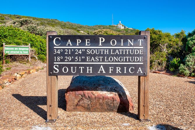 Table Mountain, Penguin,Cape Point Private Day Tour in Cape Town - Boulders Beach makes the wildlife personal
