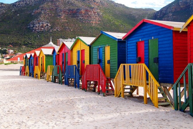 Table Mountain, Penguins and Cape Point Sharing GroupTour - Cape of Good Hope and Cape Point