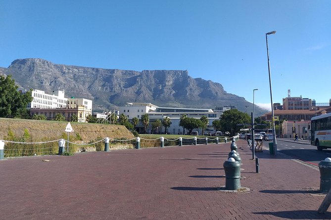 Table Mountain, Penguins, Cape of good hope and Stellenbosch tour - A big Cape Town day in a private vehicle