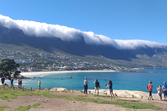Table Mountain, Penguins, Cape of good hope and Stellenbosch tour - Camps Bay and Hout Bay bring the coastal drama
