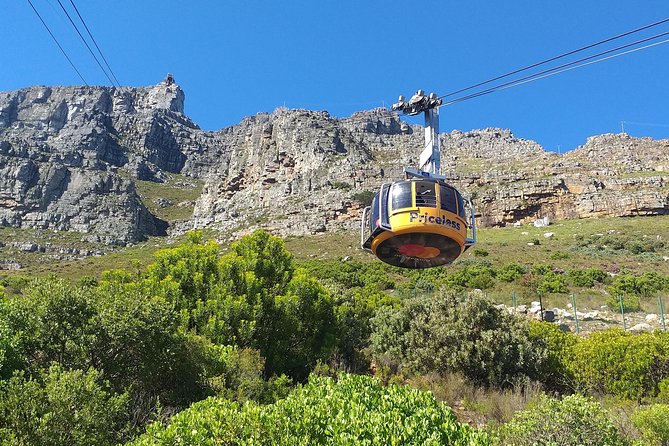 Table Mountain, Penguins, Cape of good hope and Stellenbosch tour - Cape Point offers the wildest scenery