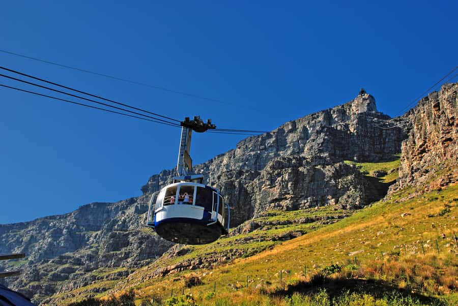 Table Mountain, Penguins & Cape of good hope full day Tour - Starting in Bo-Kaap’s colorful streets