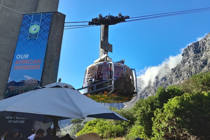 Table Mountain, Penguins & Cape of Good Hope Private Tour - Key details worth knowing