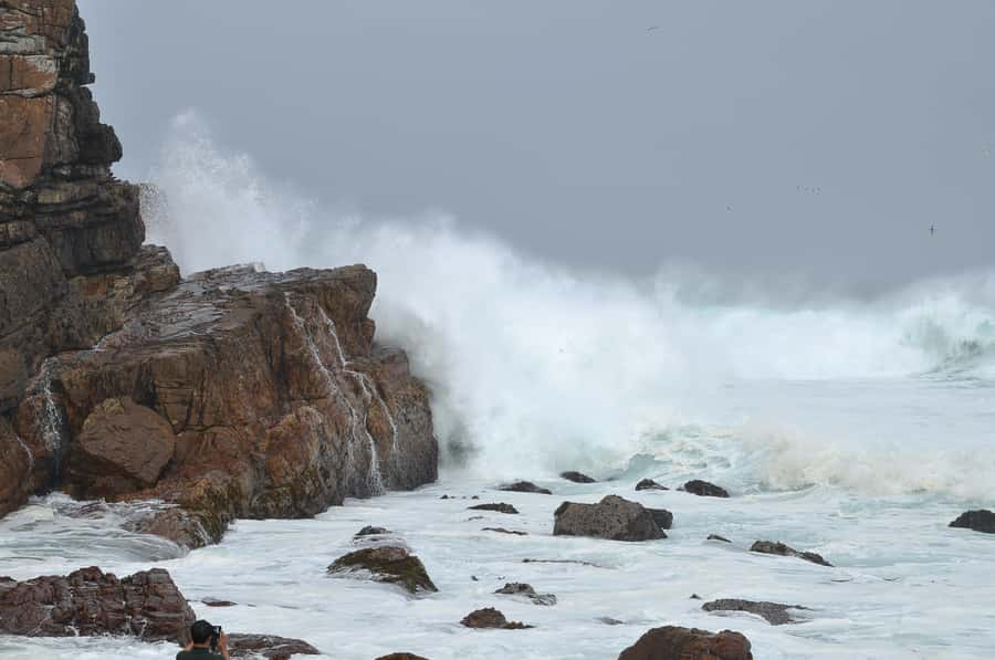 Table Mountain, Penguins & Cape of Good Hope Private Tour - What the $124 price really covers