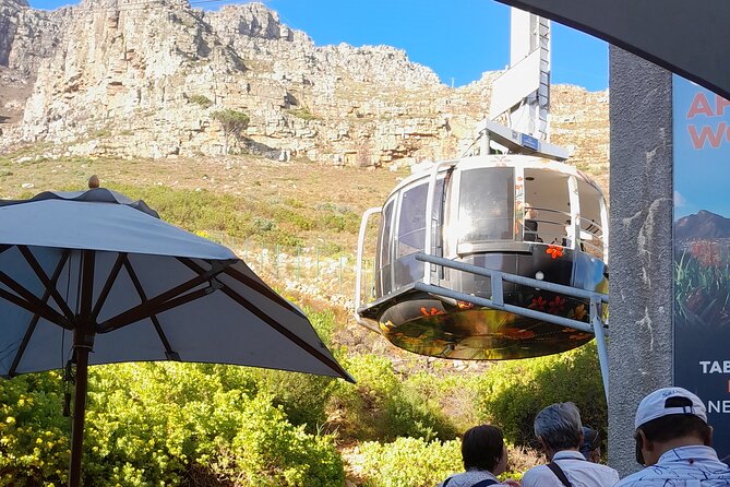 Table Mountain, Penguins & Cape of Good Hope Private Tour - Hout Bay and the optional seal cruise