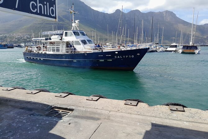 Table Mountain, Penguins & Cape of Good Hope Private Tour - Cape of Good Hope and Cape Point are not the same stop