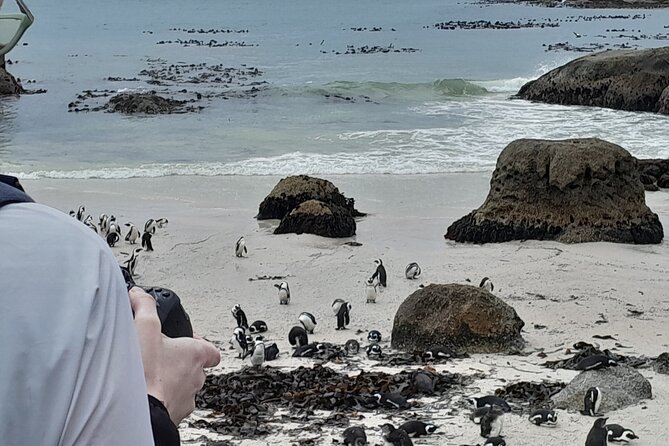 Table Mountain, Penguins & Cape of Good Hope Private Tour - Table Mountain: start high above Cape Town