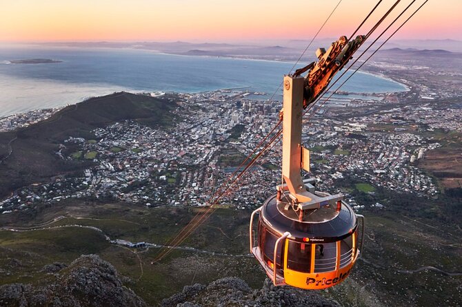 Table Mountain, Penguins & Cape of Good Hope Small Group Tour - Key points to know before booking