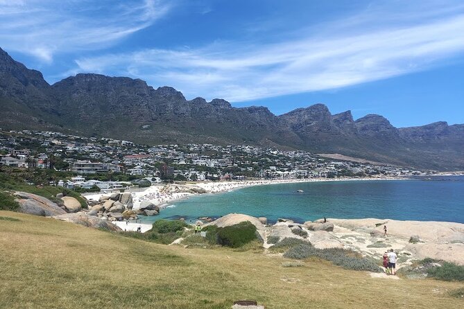Table Mountain, Penguins & Cape of Good Hope Small Group Tour - What the day covers for $90