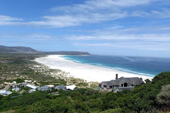 Table Mountain, Penguins & Cape of Good Hope Small Group Tour - Riding Chapman’s Peak Drive