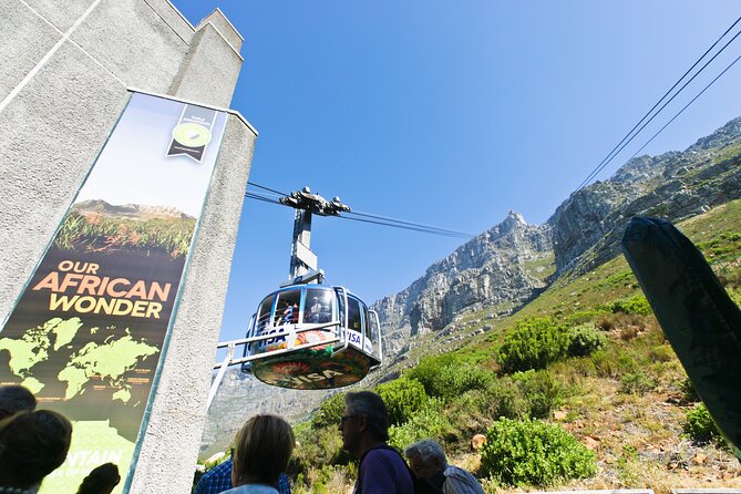 Table Mountain, Penguins & Cape Point Small Group Tour Cape Town - Why this full-day route works