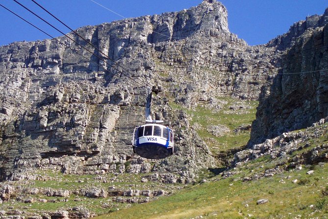 Table Mountain-Wines-Penguins-Cape Point All Inclusive Group Tour - Boulders Beach and the African penguins