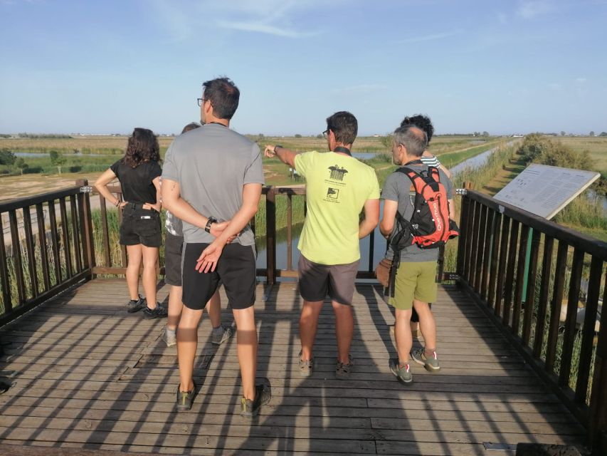 Tarragona: Southern Delta Birdwatching Private Tour - Key Things to Know Before You Go