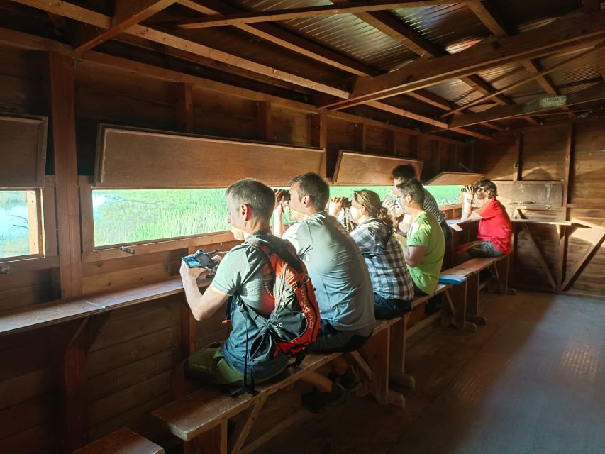 Tarragona: Southern Delta Birdwatching Private Tour - Starting at La Casa de Fusta