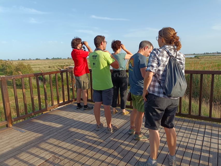 Tarragona: Southern Delta Birdwatching Private Tour - Rice Fields and the Working Delta