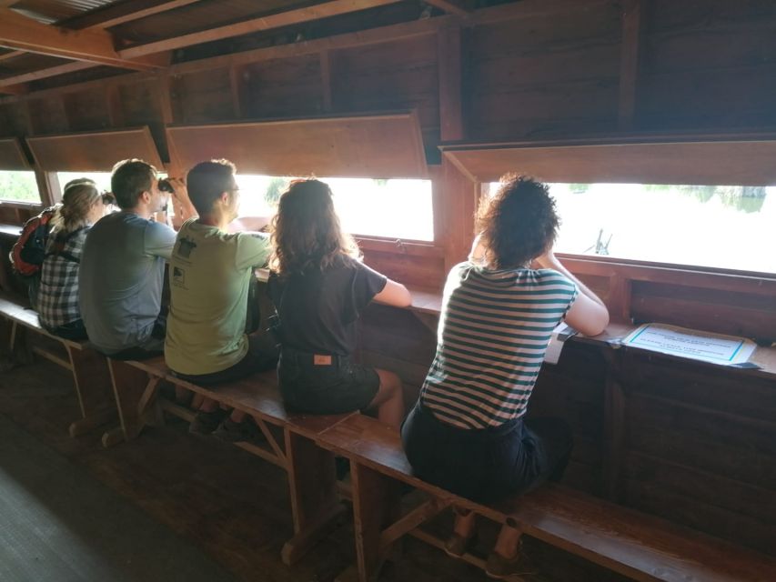 Tarragona: Southern Delta Birdwatching Private Tour - Who Will Enjoy This Three-Hour Tour?