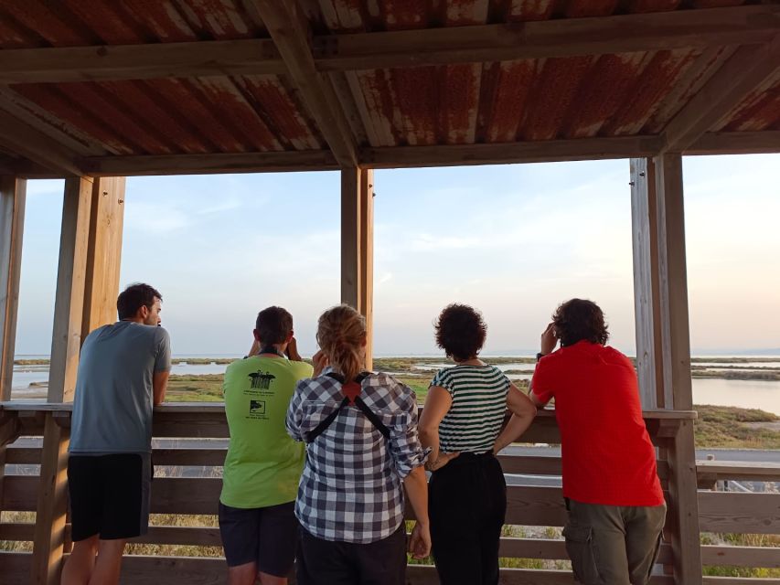 Tarragona: Southern Delta Birdwatching Private Tour - El Pont del Través and the Encanyissada Lagoon