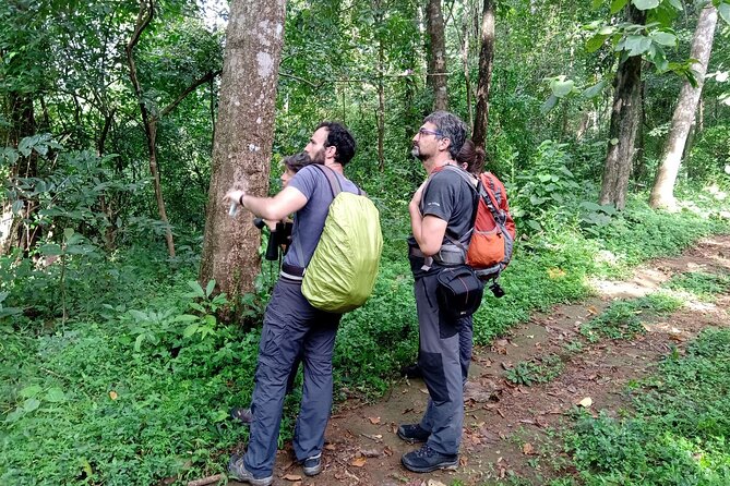 Thattekad Guided Bird Walk. - Morning or late afternoon?