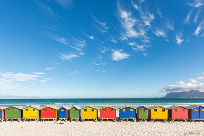 The Road Trip (Cape Point and Penguins) - Starting at 8:30 a.m. on Kloof Street