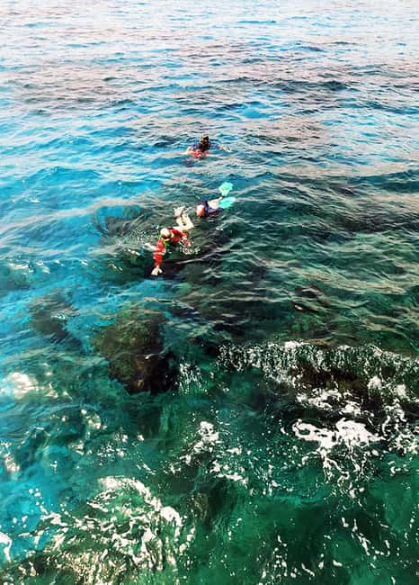 Tobago: Little Tobago Bird Sanctuary Visit and Boat Tour - Who should book this Tobago tour?