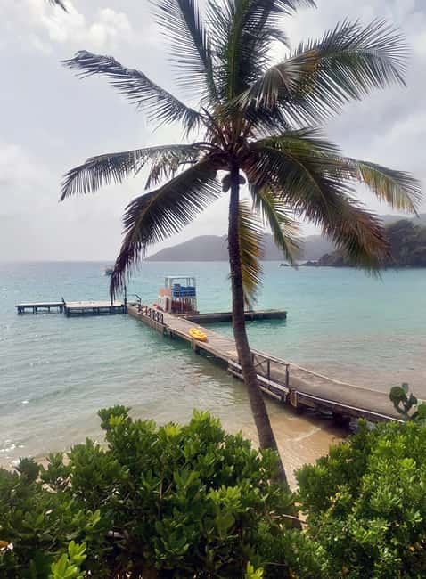 Tobago: Little Tobago Bird Sanctuary Visit and Boat Tour - Why this six-hour Tobago outing works