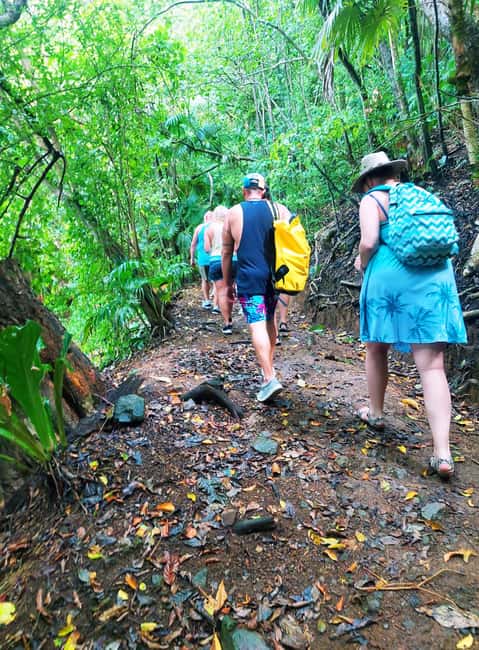 Tobago: Little Tobago Bird Sanctuary Visit and Boat Tour - Little Tobago, where the birds are the main attraction