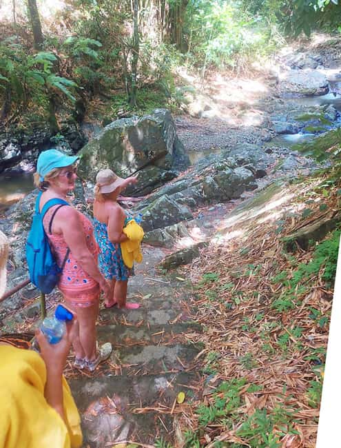 Tobago: Little Tobago Bird Sanctuary Visit and Boat Tour - Jemma’s Tree House is more than a lunch break