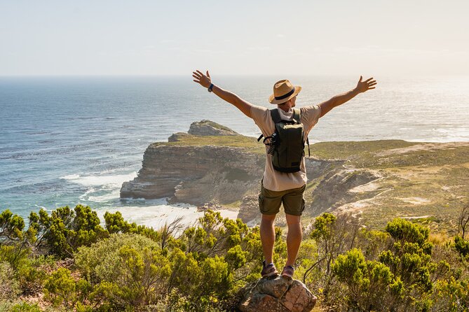 Top 10 Super Tour: Table Mountain, Penguins & Cape of Good Hope Small Group Trip - A fast way to understand Cape Town