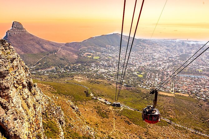 Top 10 Super Tour: Table Mountain, Penguins & Cape of Good Hope Small Group Trip - Boulders Beach and the African penguins