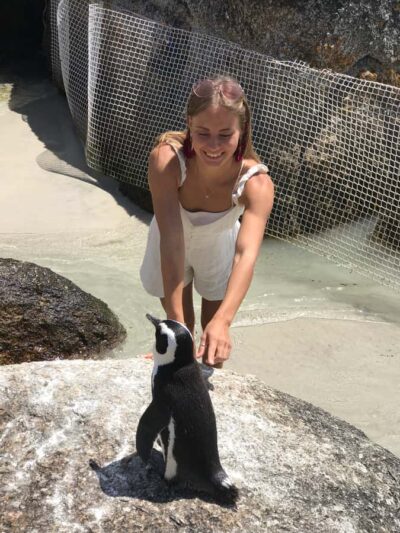 Tours from Cape Town: Penguins & Cape of Good Hope Tours