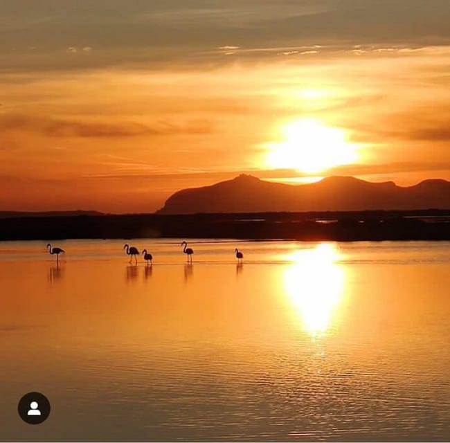 Trapani: Salt Pans Sunset Tour and Flamingo Way - Key points to know before booking