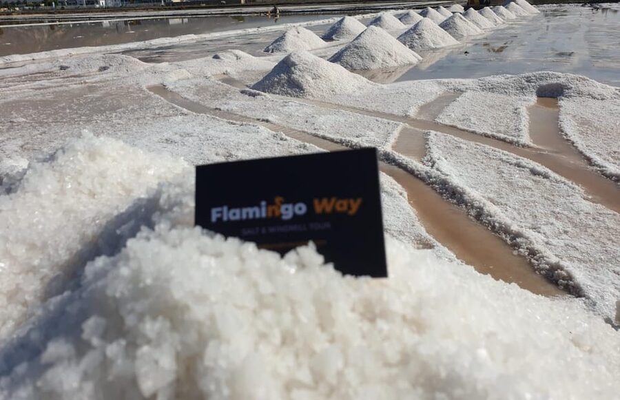 Trapani: Salt Pans Sunset Tour and Flamingo Way - Culcasi Salt Museum and the restored windmill